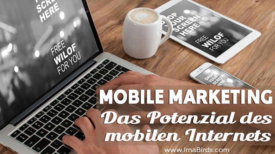 Mobile Marketing - Das Potenzial des mobilen Internets