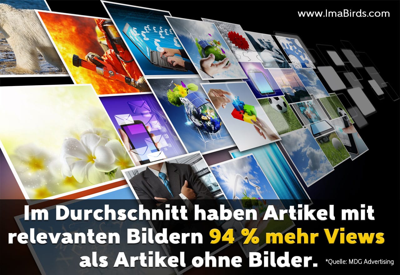 Relevante Artikelbilder