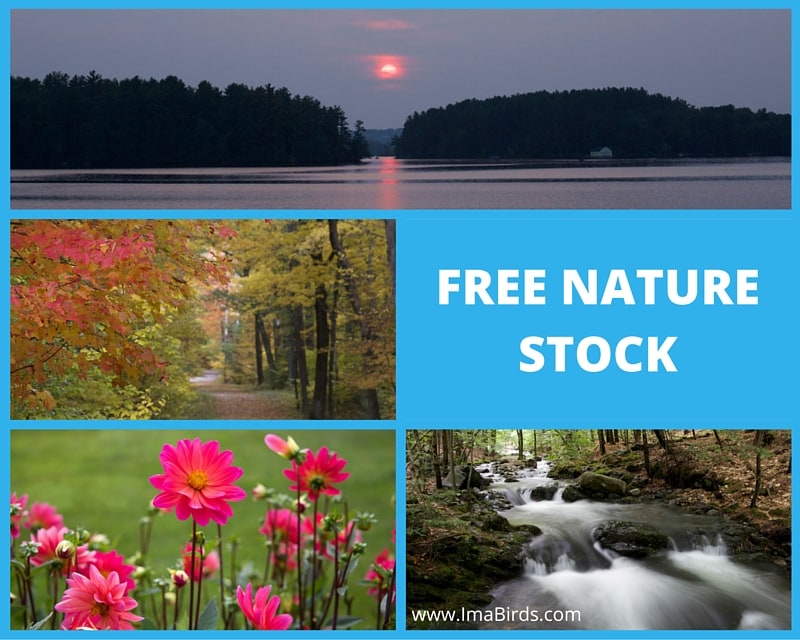 Free Nature Stock - kostenlose freie Natur-Bilder
