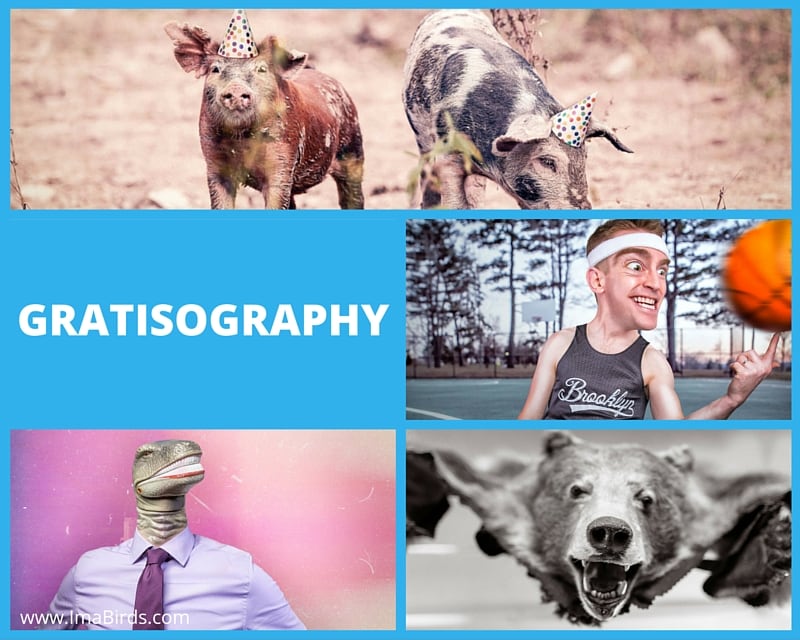 Gratisography - Coole Bilder kostenlos downloaden Coole kostenlose Bilder-Datenbank