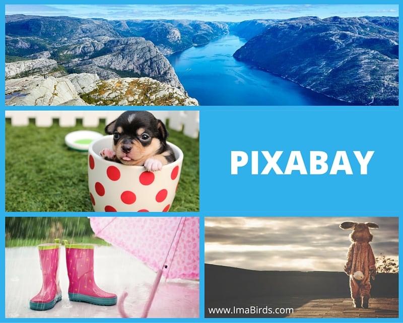 Pixabay - Kostenlose Bilder, Vektoren und Illustrationen