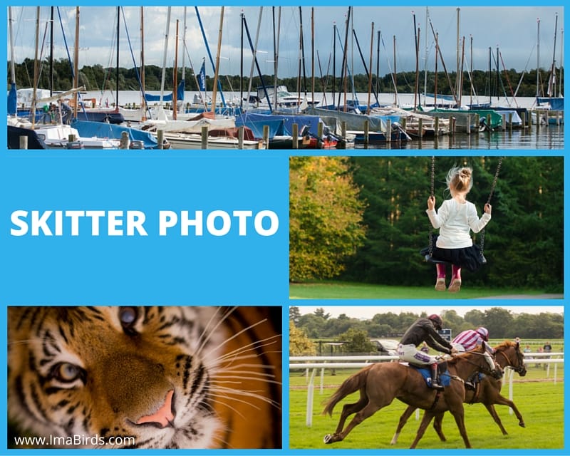 Skitterphoto - kostenlose Bilder Lizenzfreie kostenlose Bilder bei Skitterphoto
