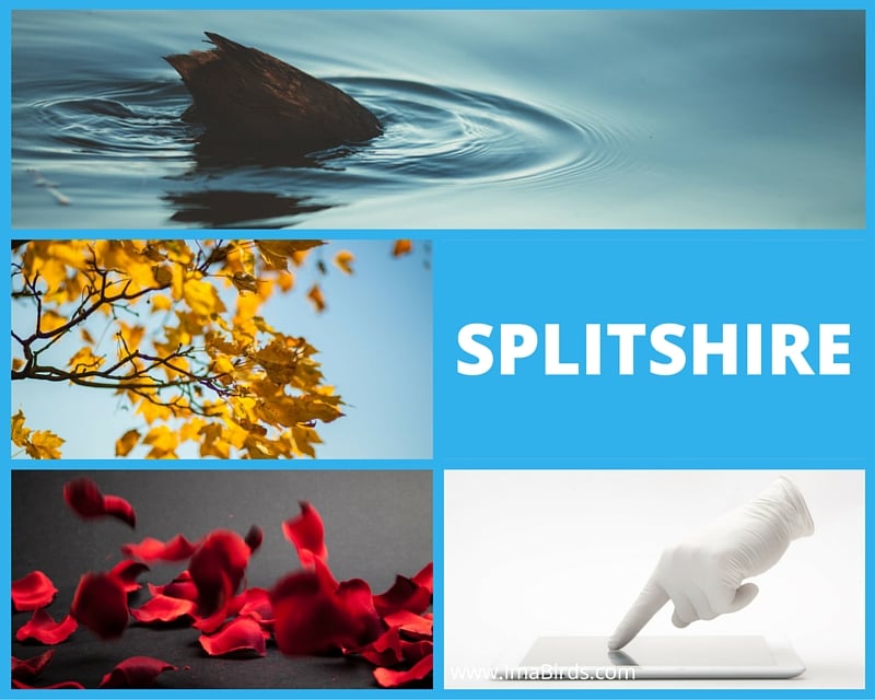 Splitshire - kostenlose Fotos Splitshire - freie kostenlose Fotos runterladen