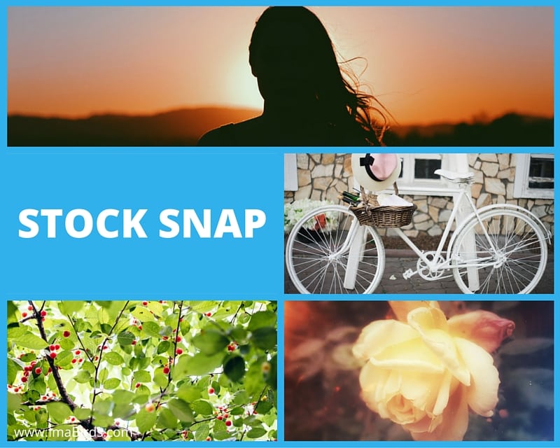Stock Snap - freie Bilder Stock Snap - kostenlose freie Bilder