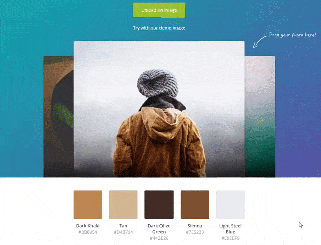 Canva Farbpalette erstellen für Bilder