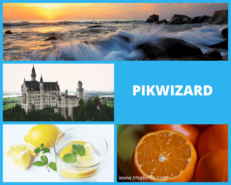 Kostenlose, lizenzfreie Bilder downloaden bei PikWizard