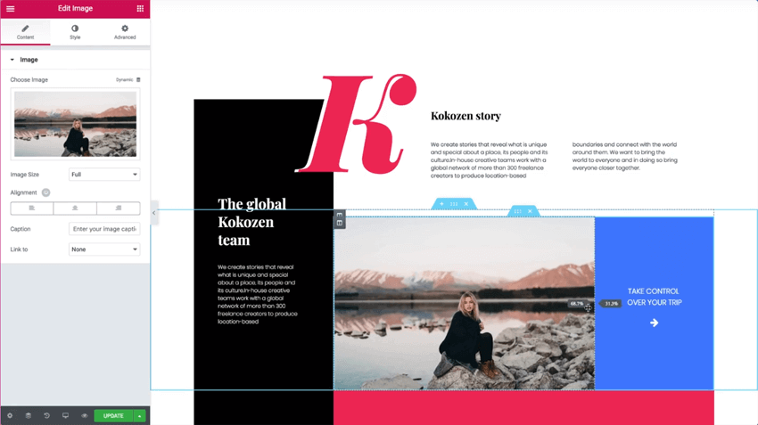 Elementor Elementor WordPress Website Builder
