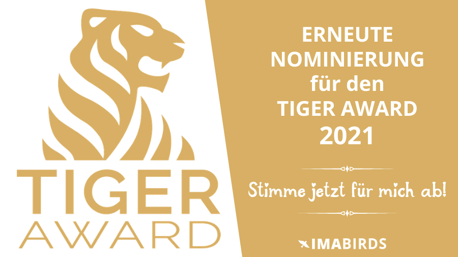 Erneute Nominierung für den Tiger Award 2021 Kategorie Content Creator 2021